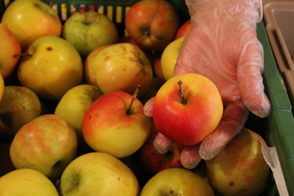 [Translate to Français:] Aepfel