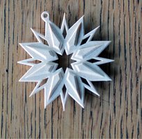 2023 Winterhilfe Stern